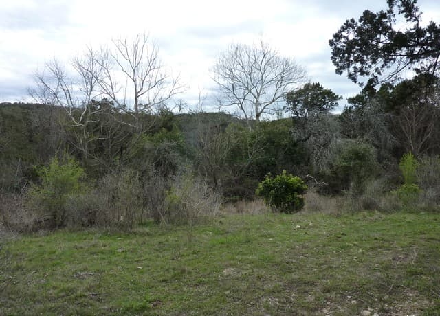 rental at 17032 Scenic Loop Road in Helotes, TX — photo 2