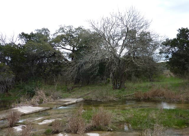 rental at 17032 Scenic Loop Road in Helotes, TX — photo 5
