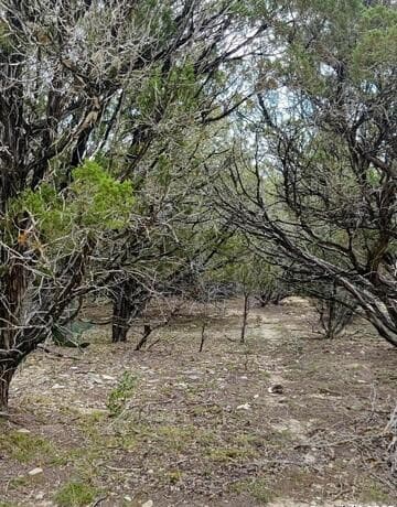 Home for sale at LOT 5-10 Western Trl/settlers Lane in Bandera, TX — photo 2