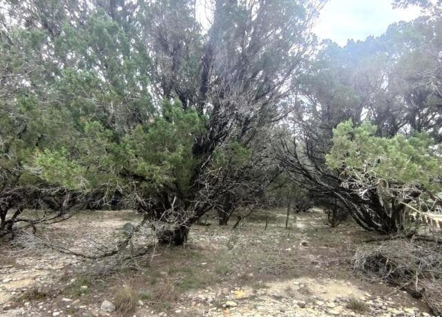 Home for sale at LOT 5-10 Western Trl/settlers Lane in Bandera, TX — photo 3