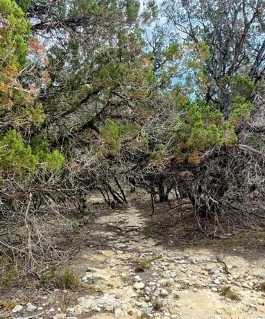 Home for sale at LOT 5-10 Western Trl/settlers Lane in Bandera, TX — photo 4