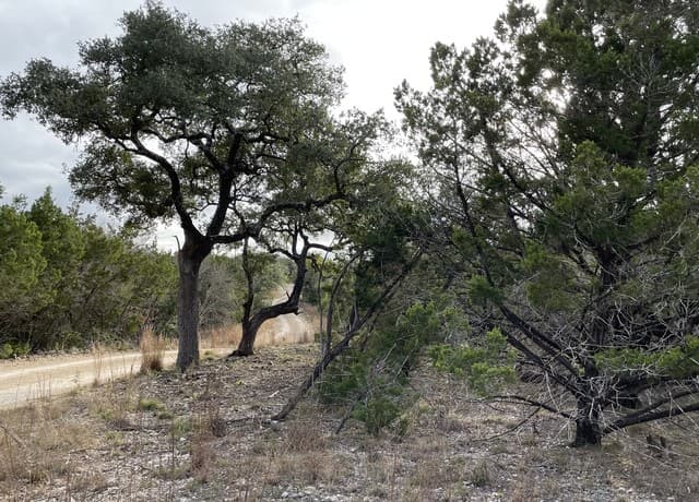rental at 1490 Red Rock Rd. in Blanco, TX — photo 1