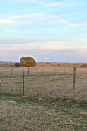 rental at 13857 Us Highway 87 S in Adkins, TX — photo 4
