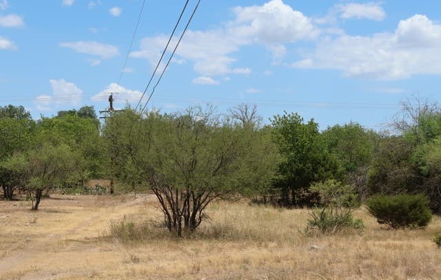 Home for sale at TBD Cypress in Bandera, TX — photo 4