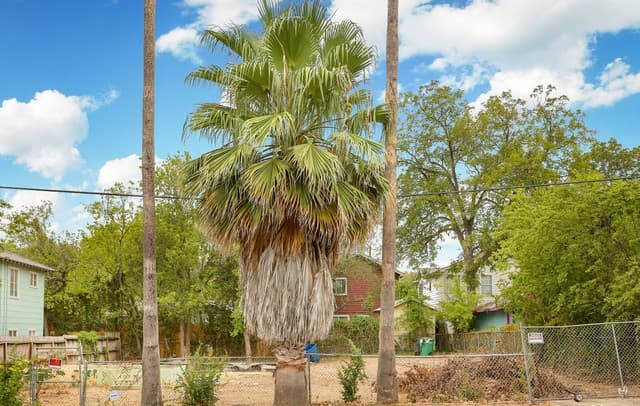 rental at 809 Eleanor Ave in San Antonio, TX — photo 1