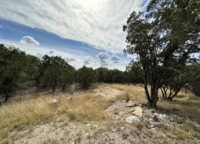 rental at 131 Palm in Spring Branch, TX — photo 4