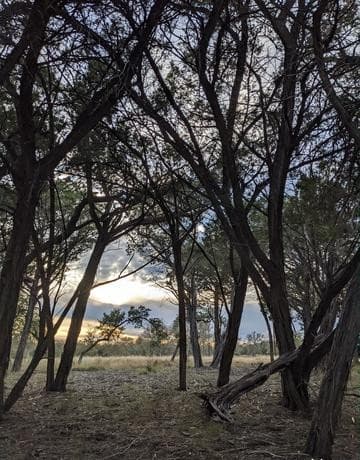 Home for sale at LOT 52 Clearwater Canyon Rd in Bandera, TX — photo 2