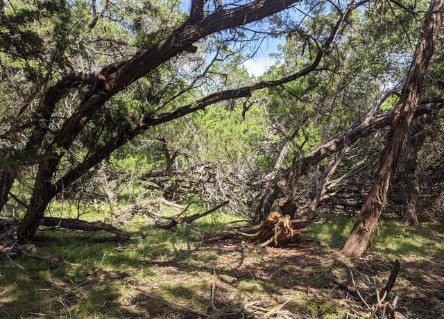 Home for sale at LOT 52 Clearwater Canyon Rd in Bandera, TX — photo 5