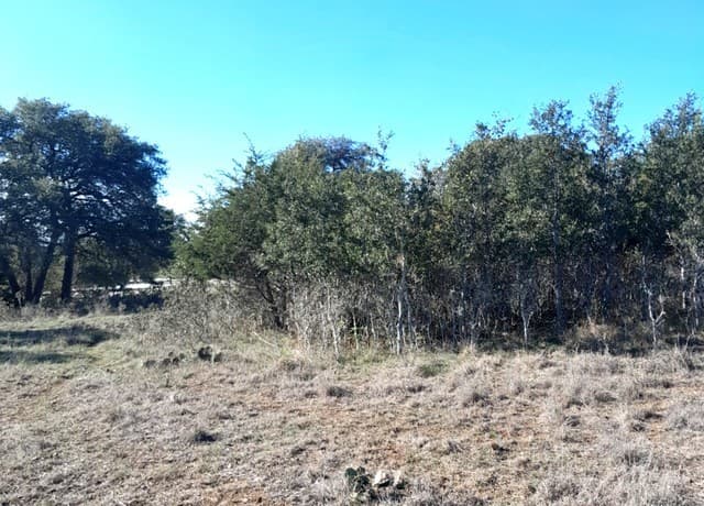 rental at 125 Antonio Perez in Blanco, TX — photo 1