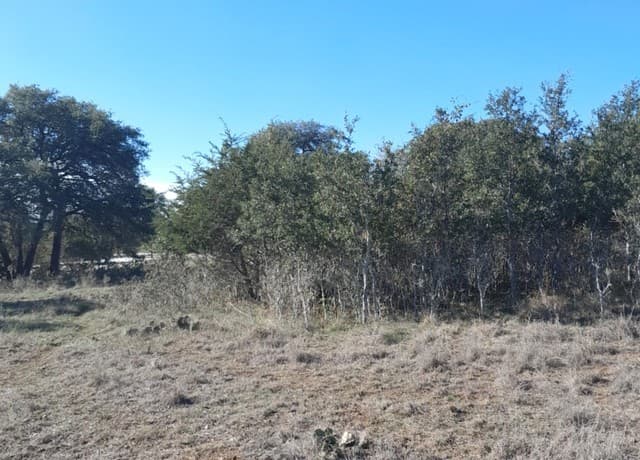 rental at 125 Antonio Perez in Blanco, TX — photo 4