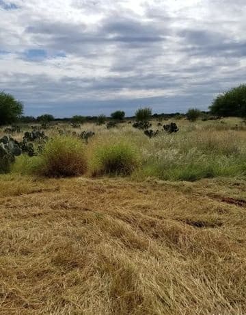 rental at 0 Hwy-85 in Dilley, TX — photo 2
