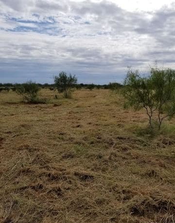 rental at 0 Hwy-85 in Dilley, TX — photo 3