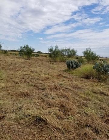 rental at 0 Hwy-85 in Dilley, TX — photo 4