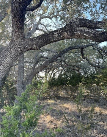 Home for sale at 219 Highgate Dr in Bandera, TX — photo 2