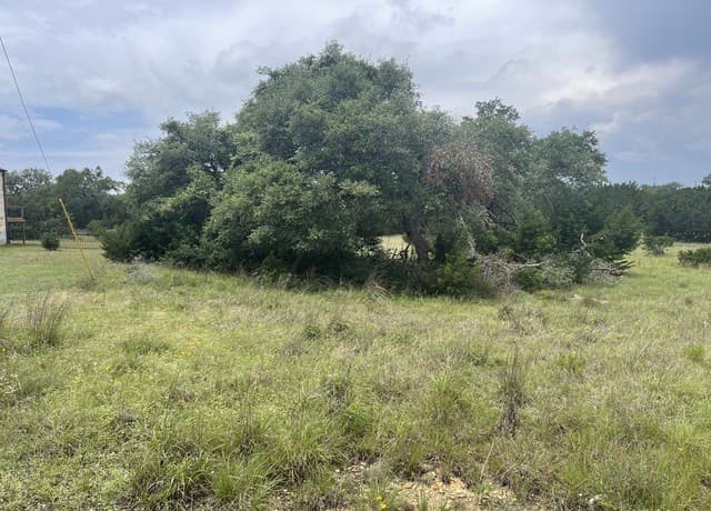 rental at 114 George Dolson in Blanco, TX — photo 4
