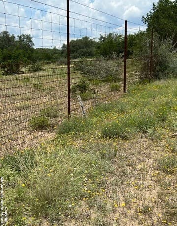 rental at 102 Ephraim McLane in Blanco, TX — photo 4