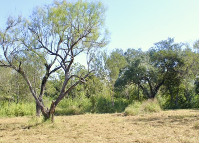 rental at 185 E Short Meadow Drive in Lytle, TX — photo 2
