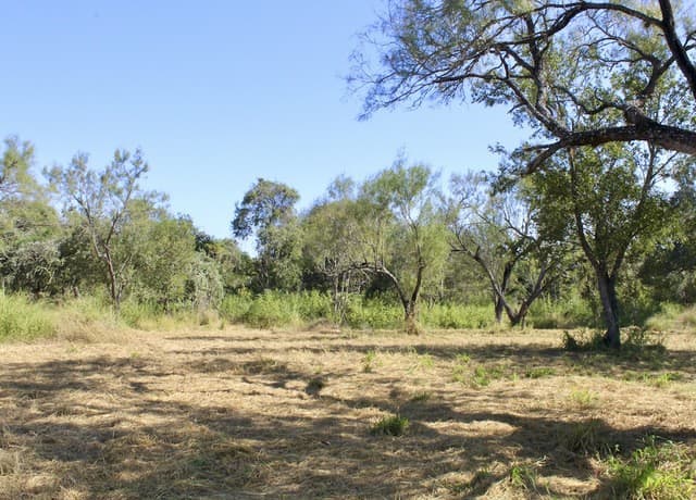 rental at 185 E Short Meadow Drive in Lytle, TX — photo 3