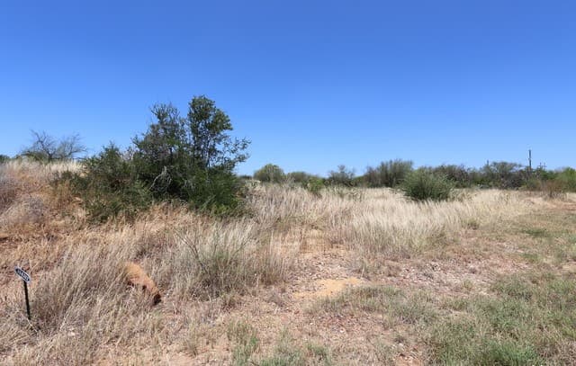 rental at 109 County Road 2638 in Devine, TX — photo 4