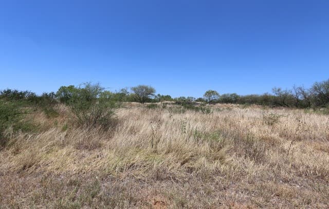 rental at 103 County Road 2638 in Devine, TX — photo 3