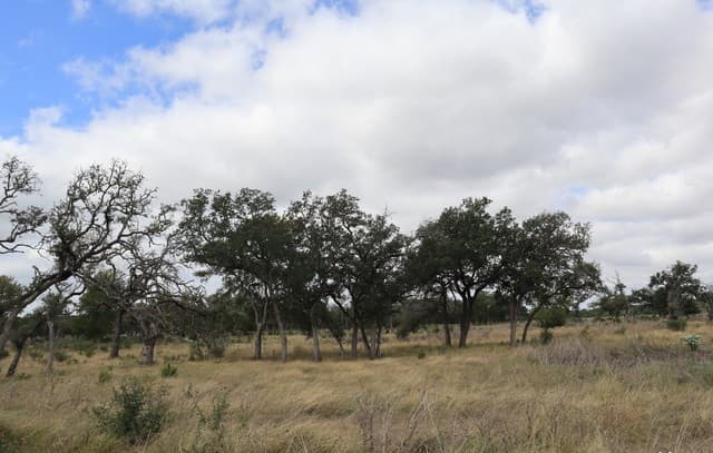 Home for sale at 0 Clearwater Canyon Road in Bandera, TX — photo 4