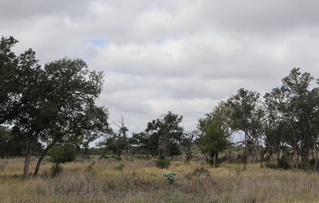 Home for sale at 0 Clearwater Canyon Road in Bandera, TX — photo 5