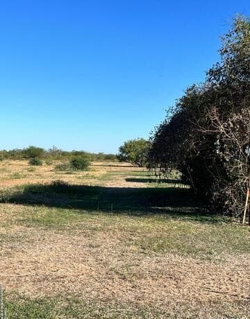 rental at TBD Graytown Road in St Hedwig, TX — photo 2