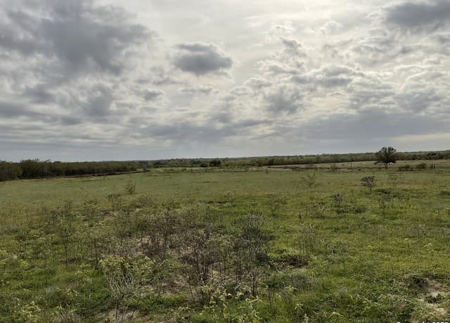 rental at 128 Sylas Hayes Loop in Leming, TX — photo 4