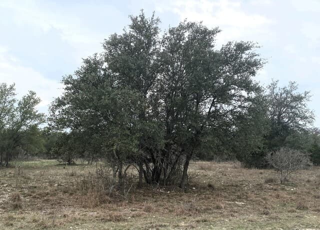 rental at LOTS 3-4 Quail Run in Bandera, TX — photo 3