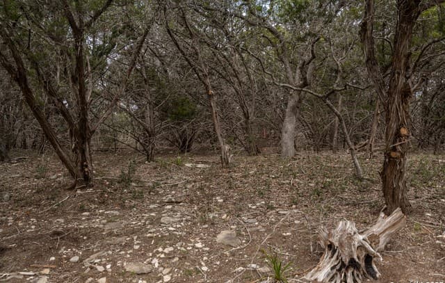 rental at 129 Stallion Estates in Spring Branch, TX — photo 4