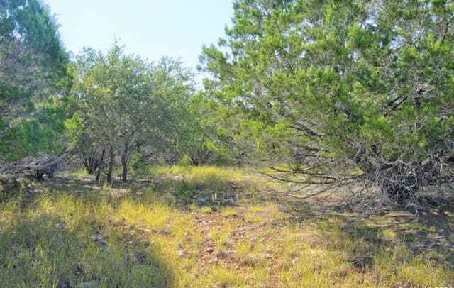 Home for sale at 278 Canyon Drive in Bandera, TX — photo 1