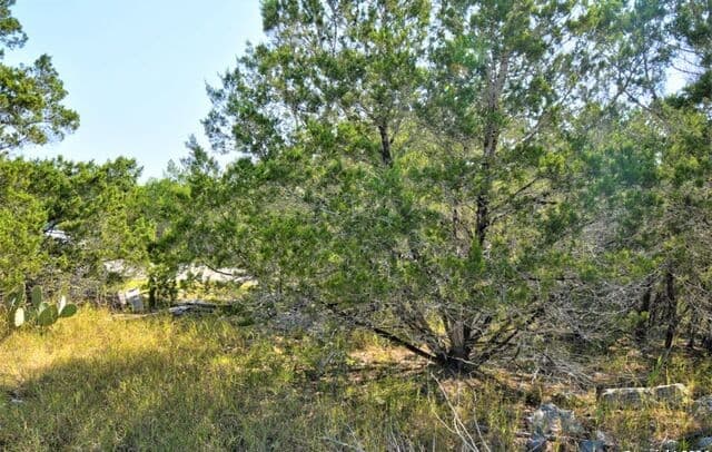 Home for sale at 278 Canyon Drive in Bandera, TX — photo 4