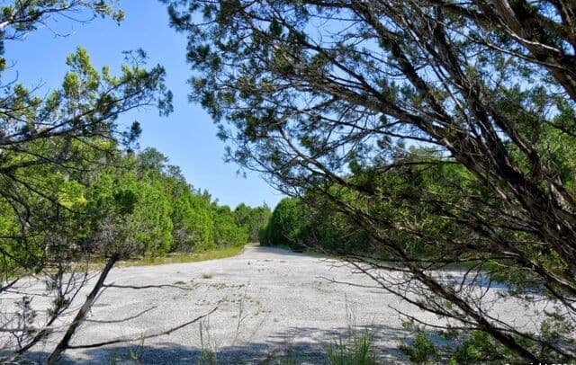 Home for sale at 278 Canyon Drive in Bandera, TX — photo 5