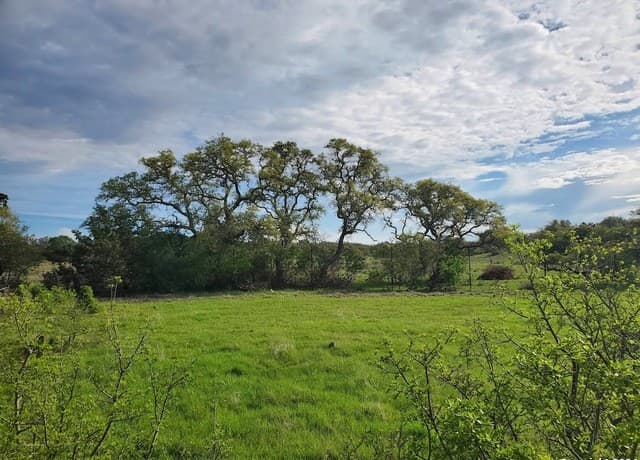 rental at 112 W Alex Jordan in Blanco, TX — photo 4