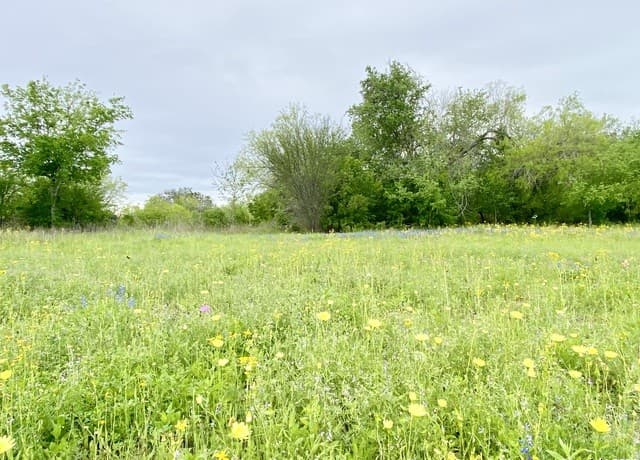 rental at 210 Shamrock Dr in Floresville, TX — photo 4