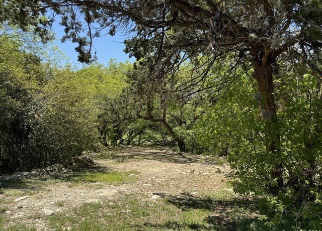 rental at 56 Eton Green Cir in San Antonio, TX — photo 4