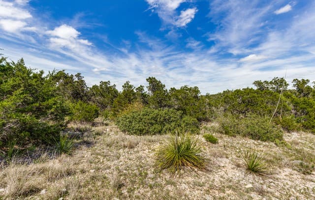 rental at LOT 373 Cr 2757 in Mico, TX — photo 3