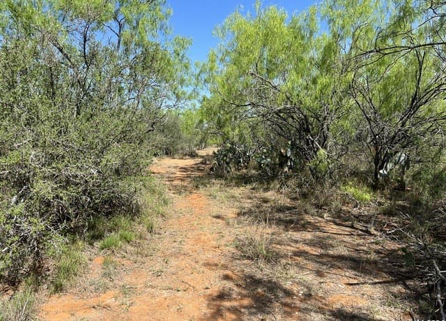 rental at 0 Carroll Road in Dilley, TX — photo 2