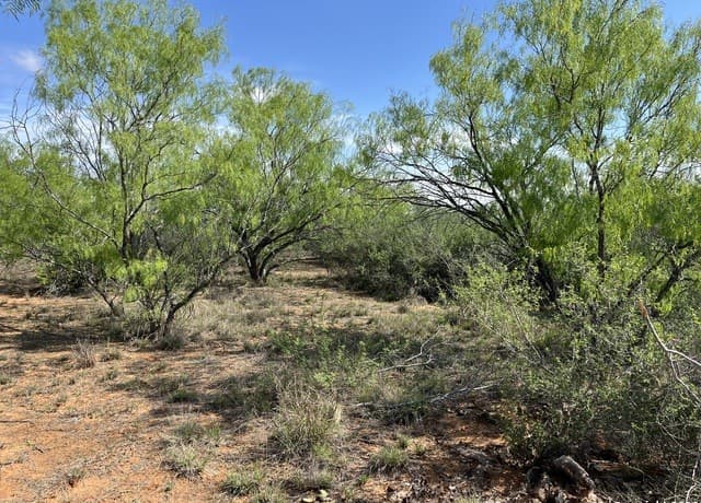 rental at 0 Carroll Road in Dilley, TX — photo 4