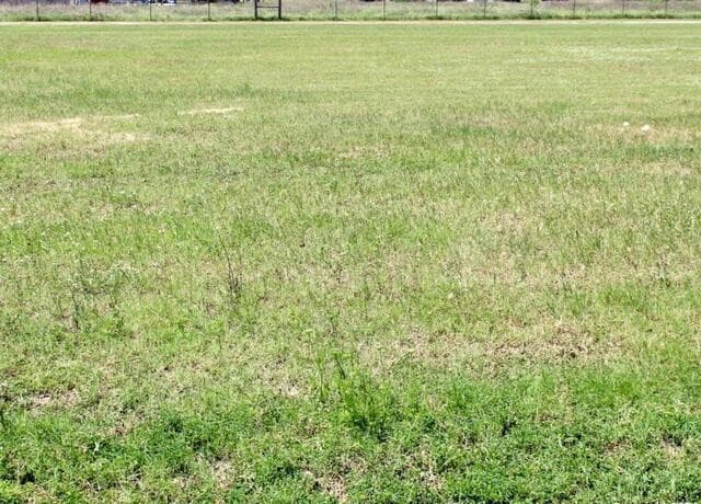 rental at LOT 6 County Road 684 in Lytle, TX — photo 5