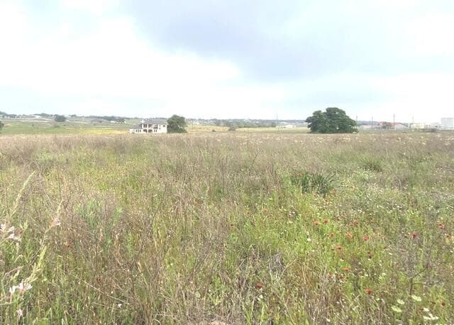 rental at 618 Lakeridge Ln in La Vernia, TX — photo 4