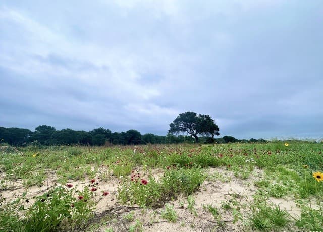 rental at 718 Sunrise Ln in La Vernia, TX — photo 4