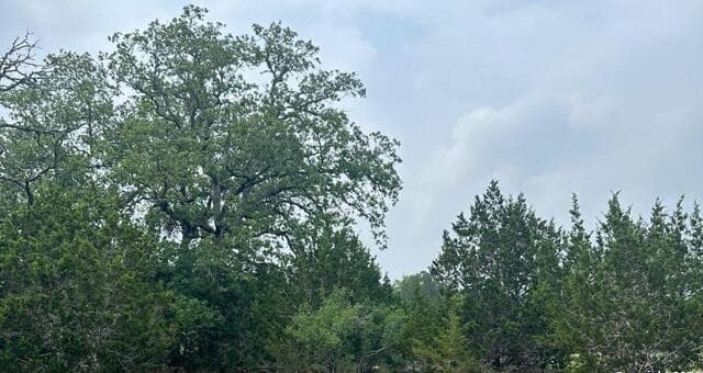 Home for sale at 6989 State Highway 16 in Bandera, TX — photo 5