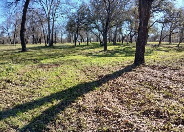 rental at 286 County Road 6876 in Natalia, TX — photo 3