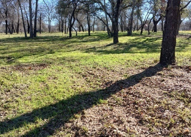 rental at 286 County Road 6876 in Natalia, TX — photo 4