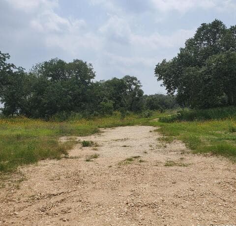 rental at 23302 LOT1 US Highway 281 S LOT 1 in San Antonio, TX — photo 5