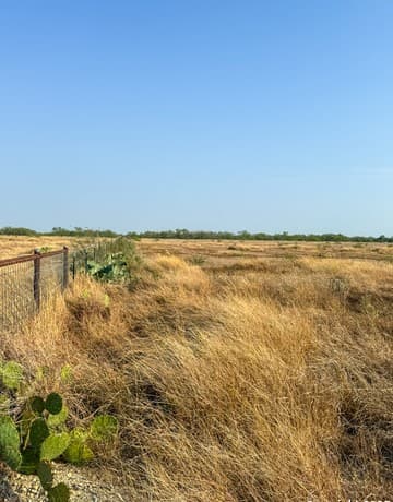 rental at 104 Alpine Trl in Kendalia, TX — photo 4