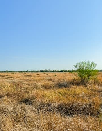 rental at 104 Alpine Trl in Kendalia, TX — photo 5