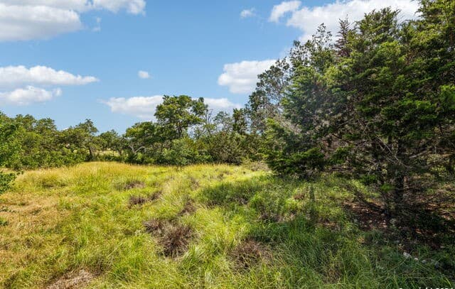 rental at 155 Obscure Way in Spring Branch, TX — photo 5