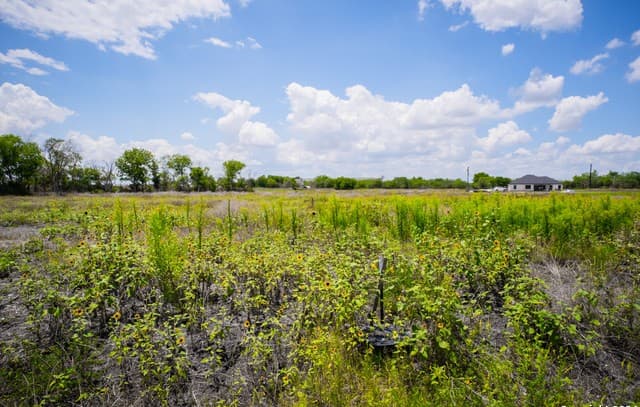 rental at 208 Farmhouse in Marion, TX — photo 5